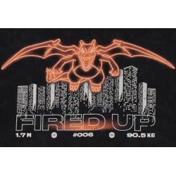 Pokémon - T-shirt à manches courtes Dracaufeu